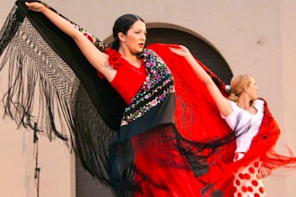 Flamenco Level 2 (Package)